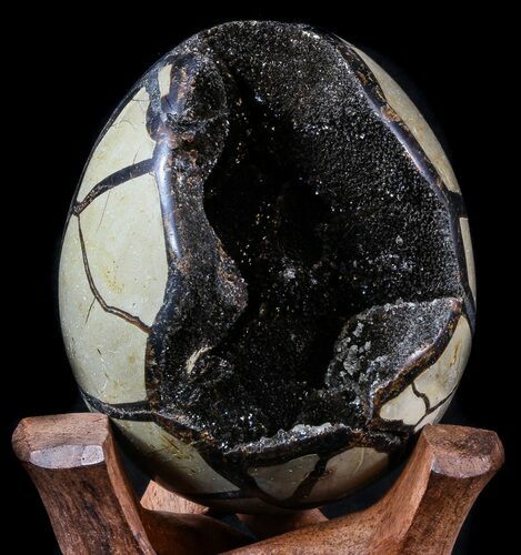 Septarian Dragon Egg Geode - Black Crystals #34710